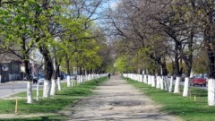 В Новочеркасске на выходных потеплеет до +20С
