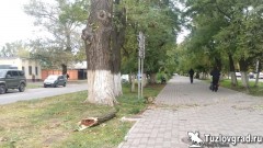 Коммунальщики Новочеркасска продолжают убирать с улиц последствия воскресной бури