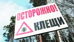 В Ростовской области выявлены первые случаи заражения крымской геморрагической лихорадкой и лихорадкой Ку