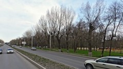 В Новочеркасске вдоль рощи «Красная Весна» установят металлические ограждения