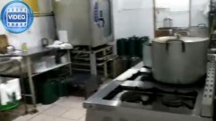 В Новочеркасске предприятию с тараканами запретили готовить еду для школьников