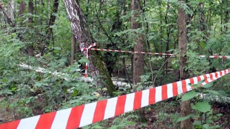 В Новочеркасске нашли повешенным молодого мужчину