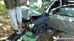 В Новочеркасске водитель не справился с управлением на повороте и врезался в дерево