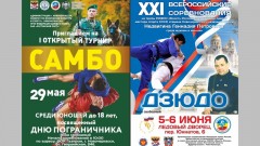 Жители Новочеркасска могут посетить турниры по самбо и дзюдо