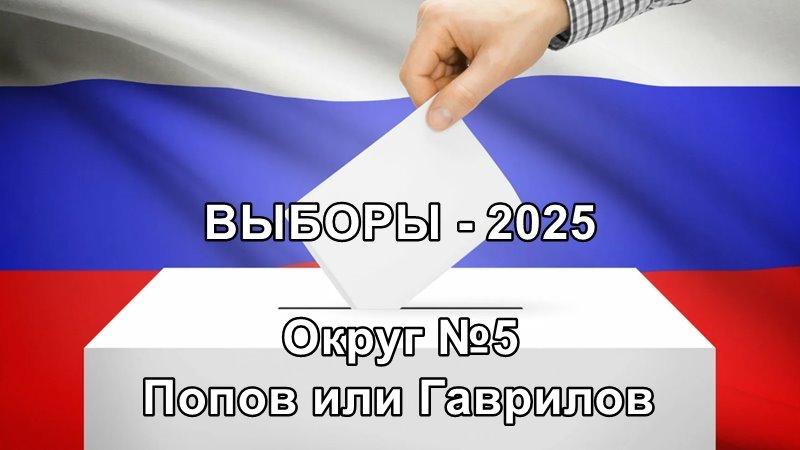 Выборы в новочеркасскую городскую Думу, округ 5