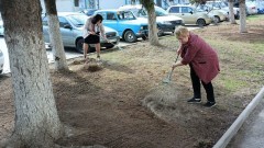 В школах и детсадах Новочеркасска в субботниках приняли участие более 600 человек