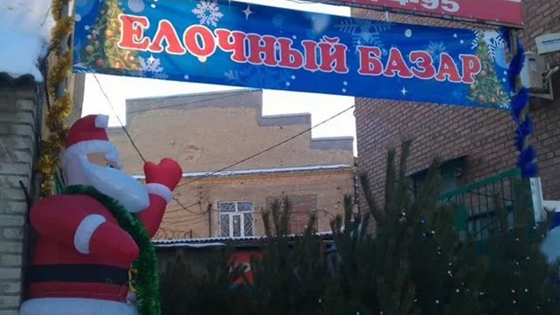 В Новочеркасске откроют более 50 елочных базаров