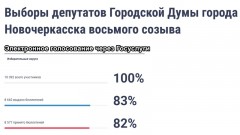 В Новочеркасске явка избирателей перешагнула через порог 20%