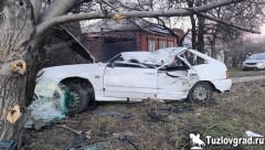 В Новочеркасске ВАЗ врезался в дерево на улице Буденновской, видео