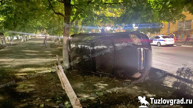 В Новочеркасске лихач не справился с управлением на повороте и врезался в дерево, видео