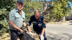 В Новочеркасске прошел общегородской субботник