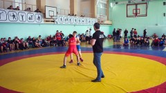 Новочеркасские борцы выиграли турнир памяти почетного мастера спорта СССР Вячеслава Телюканова