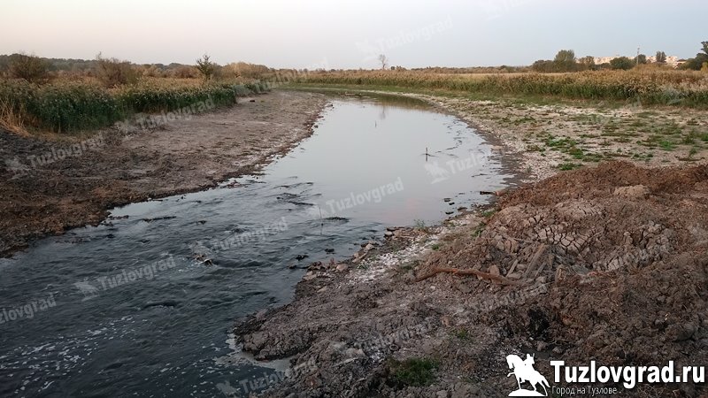 В Новочеркасске почистят реку Грушевку от мусора