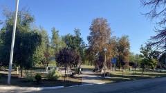 На территории НЭВЗа появился «Сквер Дружбы»