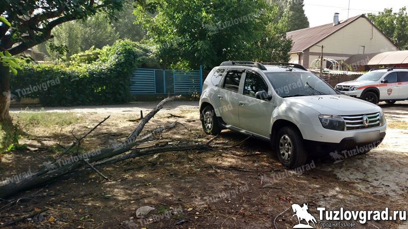 В Новочеркасске на припаркованный автомобиль упало дерево