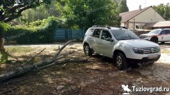 В Новочеркасске на припаркованный автомобиль упало дерево