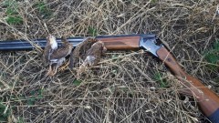 В России вступили в силу новые правила охоты