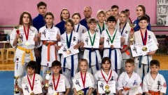Новочеркасские каратисты выиграли турнир в Сальском районе