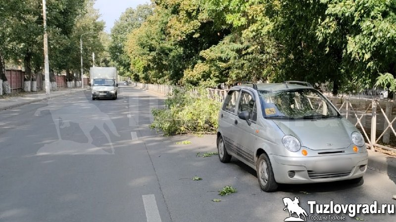 На проспекте Баклановском в Новочеркасске большая ветка дерева упала на проезжавший внизу автомобиль
