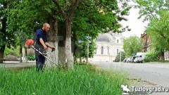 В Новочеркасске добавят 1,4 миллиона рублей на покос травы