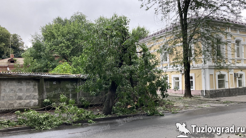 В Новочеркасске на улице Пушкинской дерево упало на тротуар и перегородило его