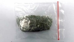 Житель Новочеркасска нарвал дикорастущей конопли и получил 200 часов обязательных работ