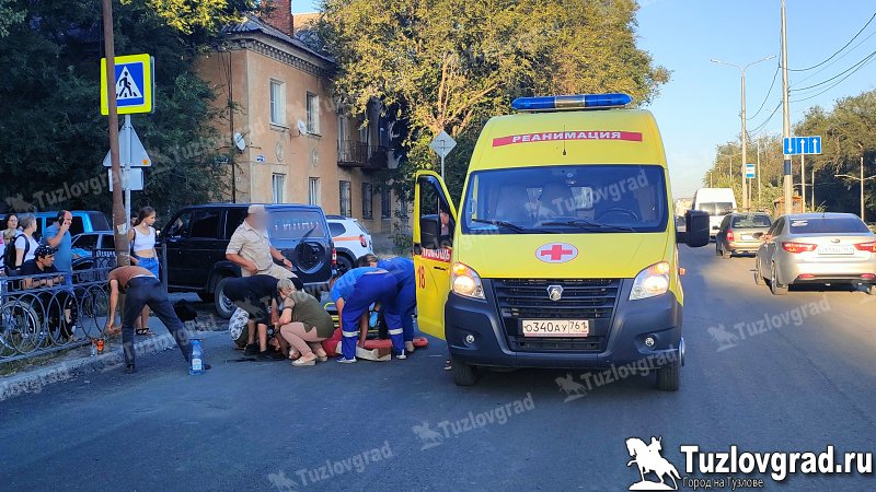 В Новочеркасске лихач сбил женщину с собачкой на пешеходном переходе, видео