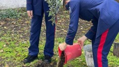 Учащиеся Новочеркасского казачьего кадетского корпуса провели субботник и высадили молодые деревья