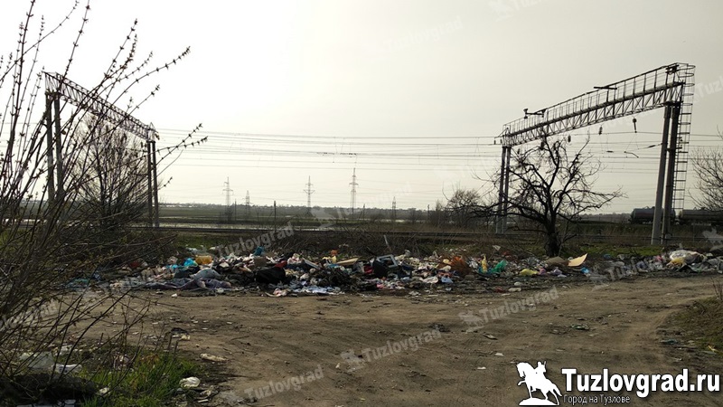 В Новочеркасске вывозом несанкционированных свалок до начала лета займется местная фирма