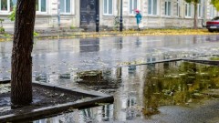 Последняя неделя года в Новочеркасске будет теплой и бесснежной