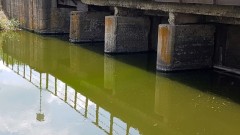 В Новочеркасске из реки Грушевка вытащили более двух тонн мусора