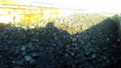 В Новочеркасске двое мужчин украли из грузового поезда 11 мешков угля