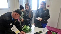 Проверки безопасности прошли в учреждениях образования Ростовской области