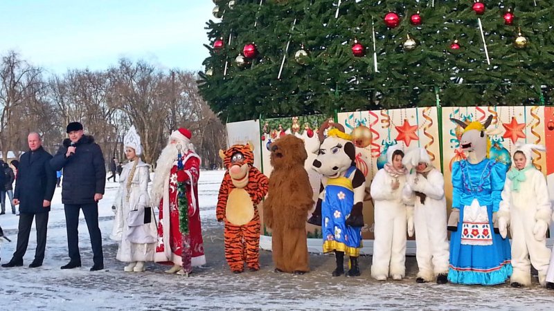 В Новочеркасске торжественно открыли главную городскую ёлку