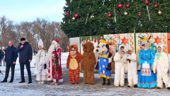 В Новочеркасске торжественно открыли главную городскую ёлку