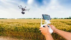Проект новочеркасских ученых по борьбе с болезнями пшеницы победил на всероссийском конкурсе
