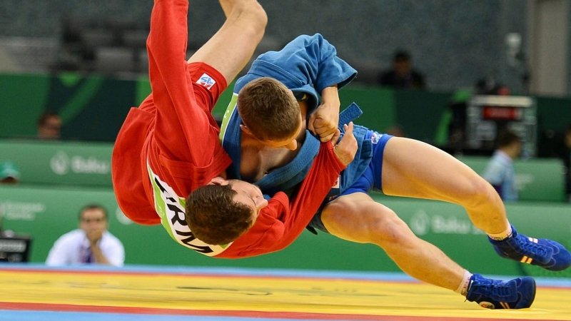 Новочеркасские спортсмены стали призерами чемпионата области по боевому самбо