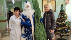 Новочеркасские предприниматели подарили больницам и поликлиникам елки и новогодние украшения
