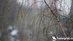 Атмосферный фронт и юго-западный ветер принесут в Новочеркасск существенное похолодание и ливни