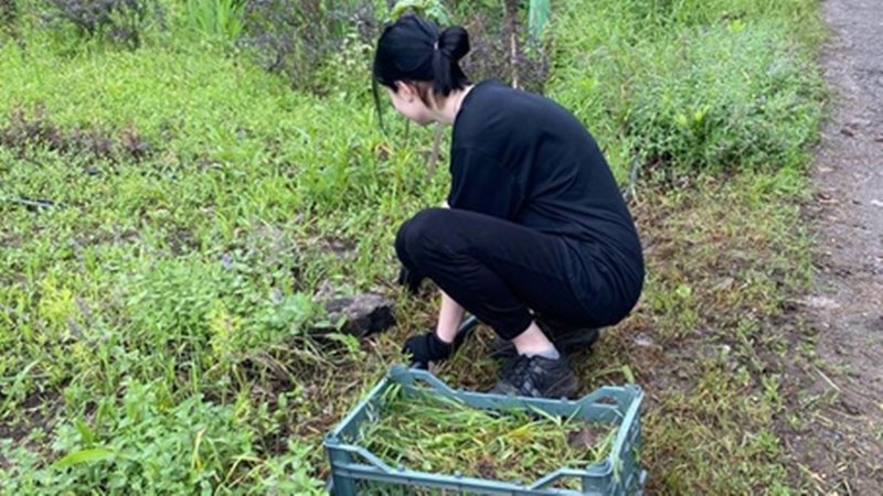 В Новочеркасске в период летних каникул планируют трудоустроить более 200 подростков