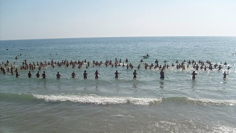 Жители Новочеркасска могут проконсультироваться по вопросам детского отдыха и товаров для детей