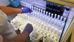 В Ростовской области за прошедшие сутки зарегистрировано 159 случаев заболевания коронавирусом, еще 4 человека умерли