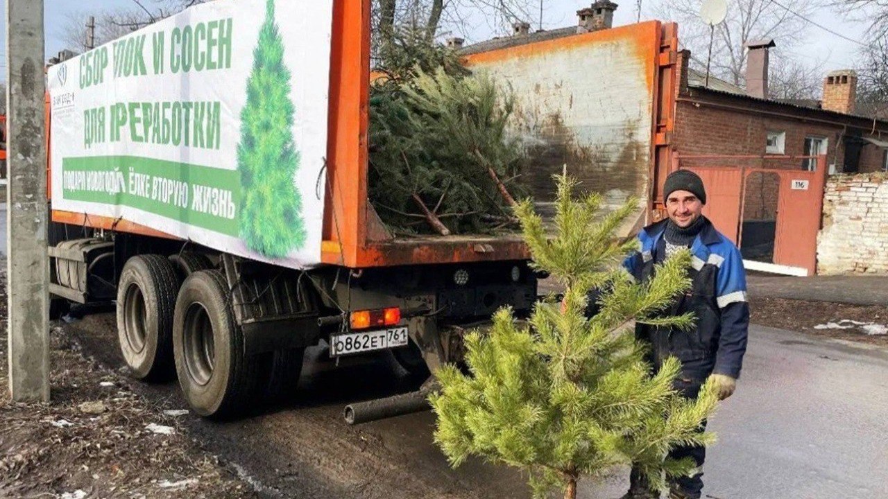 В Новочеркасске стартовала ежегодная акция Ёлочный круговорот