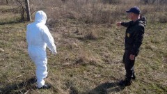 В Новочеркасске раскладывают вакцины от бешенства для диких животных