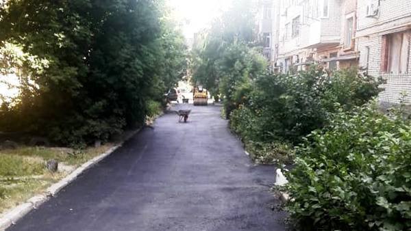 В Новочеркасске асфальтированием дворов займется местный предприниматель