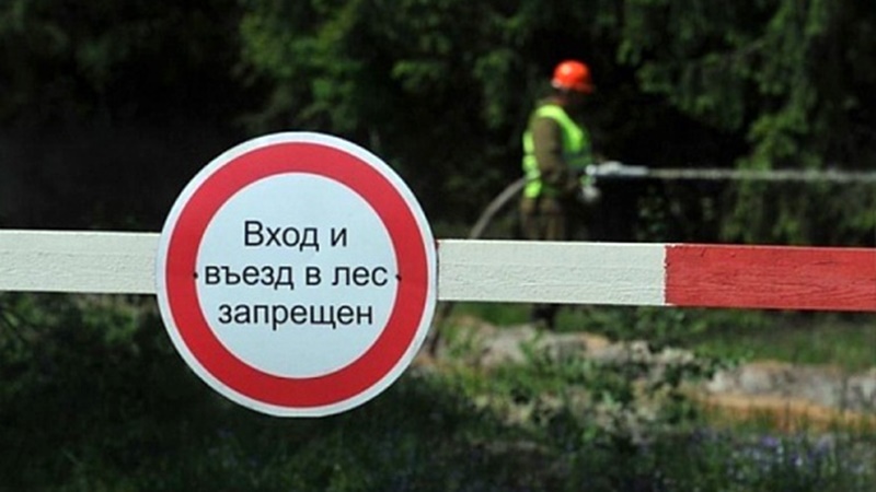 В Ростовской области продлили режим ограничения пребывания в лесах до 30 июня