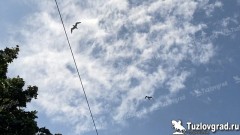 В Новочеркасске ожидается ослабление жары