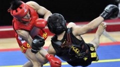Новочеркасские спортсмены завоевали три медали на турнире по ушу в Белгородской области