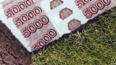 Многодетным семьям в Ростовской области будут выдавать земельные сертификаты вместо участков земли