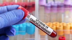 В Ростовской области омикрон-штамм коронавируса вытеснил дельту